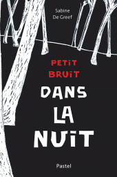 Petit bruit dans la nuit